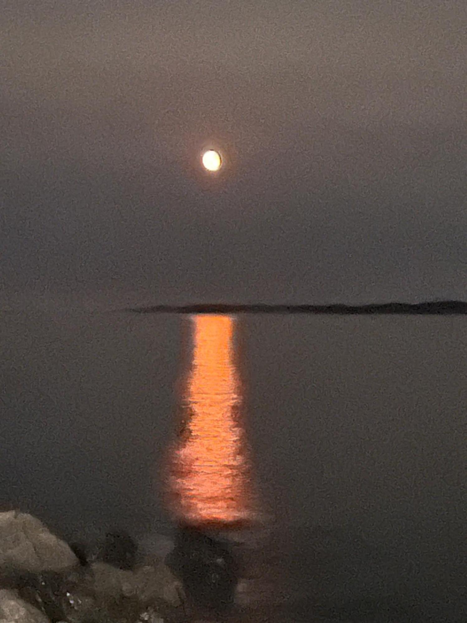 The View Suites And Breakfast In Triton, Newfoundland Pilley's Island Exterior foto