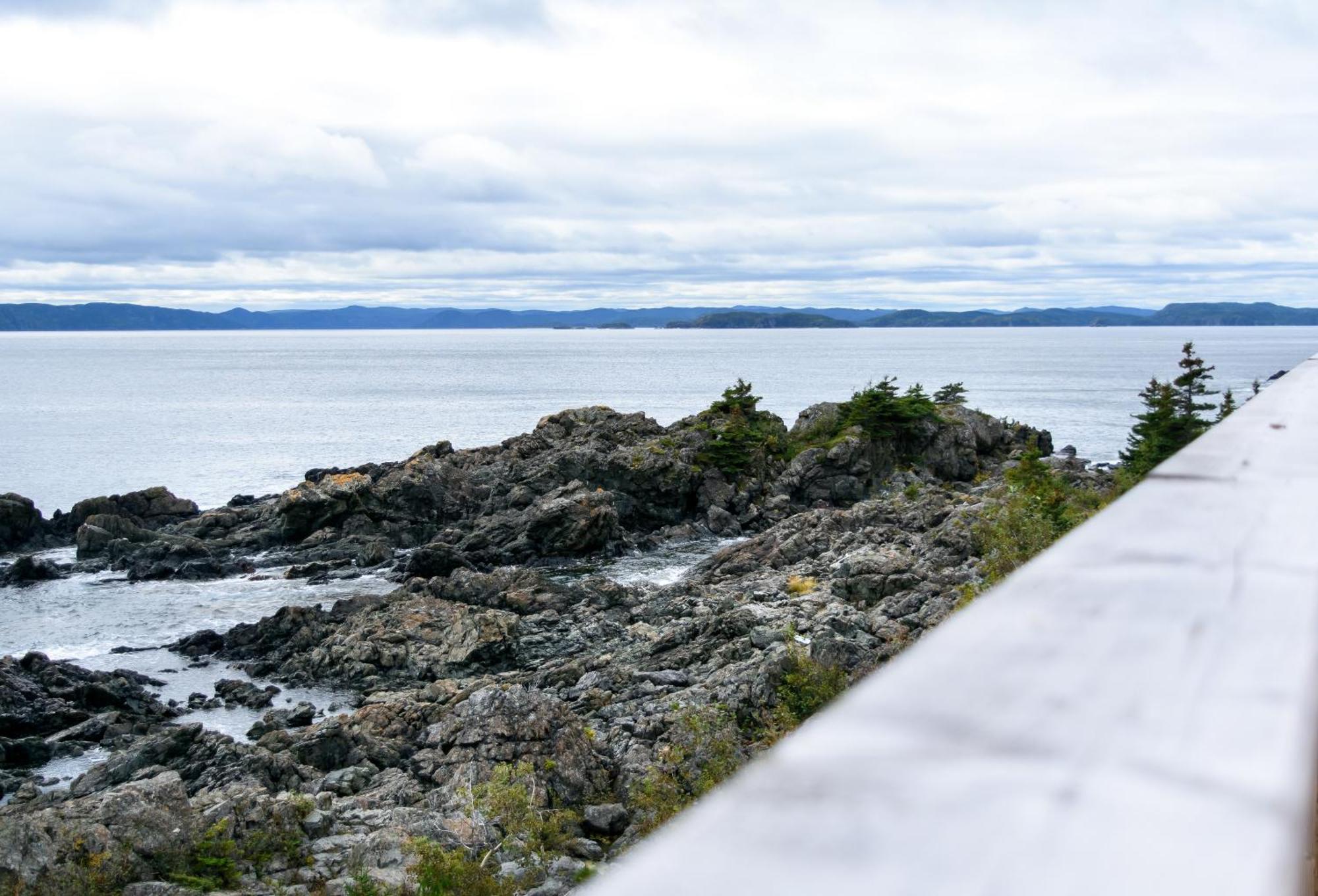 The View Suites And Breakfast In Triton, Newfoundland Pilley's Island Exterior foto